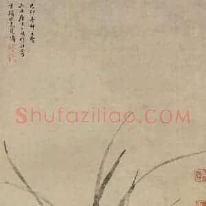 明代 周天球《兰花图》国画花鸟作品图片赏析