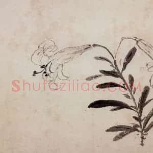 明代 周之冕《花卉图册》国画花鸟作品图片赏析