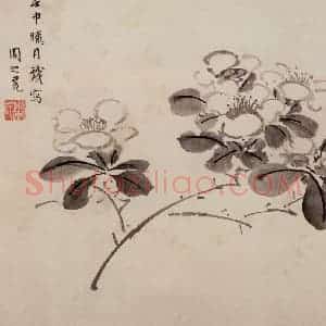 明代 周之冕《花卉图册》国画花鸟作品图片赏析