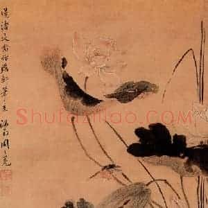 明代 周之冕《莲渚文禽图》国画花鸟作品图片赏析
