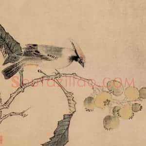 明代 王维新《花鸟图册》国画花鸟作品图片赏析