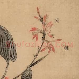 明代 王维新《花鸟图册》国画花鸟作品图片赏析