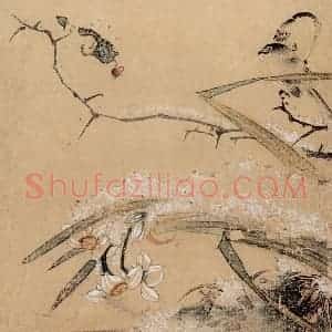 明代 王维新《花鸟图册》国画花鸟作品图片赏析