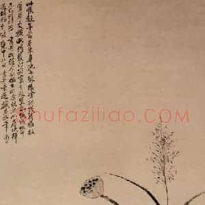 清代 恽寿平《荷花芦草图》国画花鸟作品图片赏析