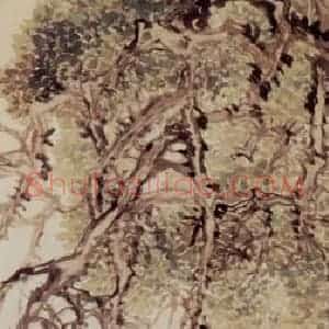清代 赵之谦《古柏灵芝图》国画花鸟作品图片赏析