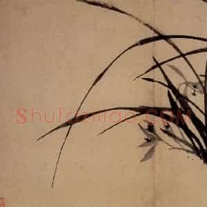清代 郑燮《兰竹册》国画花鸟写意作品图片赏析