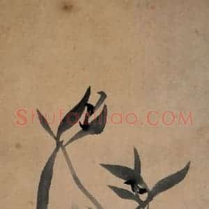 清代 郑燮《兰花册》国画花鸟写意作品图片赏析