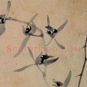 清代 郑燮《兰花册》国画花鸟写意作品图片赏析