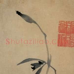 清代 郑燮《兰花册》国画花鸟写意作品图片赏析