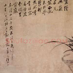 1750年 郑燮《盆兰》国画花鸟写意作品图片赏析