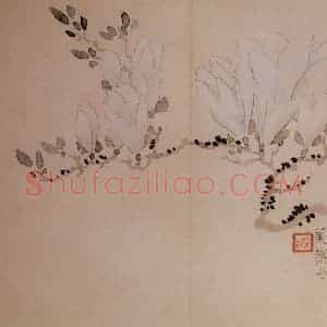 清代 汪士慎《花卉册》国画花鸟写意作品图片赏析