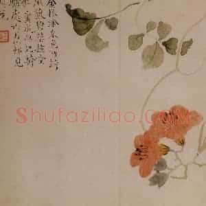 清代 汪士慎《花卉册》国画花鸟写意作品图片赏析