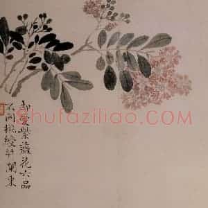 清代 汪士慎《花卉册》国画花鸟写意作品图片赏析