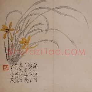 清代 汪士慎《花卉册》国画花鸟写意作品图片赏析