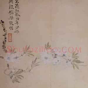 清代 汪士慎《花卉册》国画花鸟写意作品图片赏析