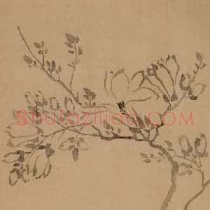 清代 汪士慎《花卉册》国画花鸟写意作品图片赏析
