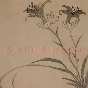 清代 汪士慎《花卉册》国画花鸟写意作品图片赏析