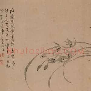 清代 汪士慎《花卉册》国画花鸟写意作品图片赏析