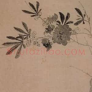 清代 汪士慎《花卉册》国画花鸟写意作品图片赏析