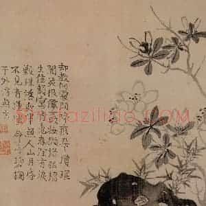 清代 汪士慎《花卉册》国画花鸟写意作品图片赏析