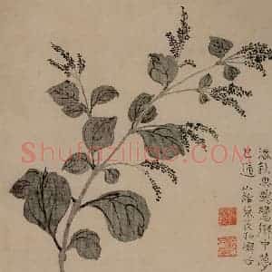 清代 汪士慎《花卉册》国画花鸟写意作品图片赏析