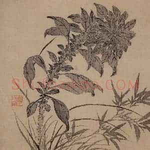 清代 汪士慎《花卉册》国画花鸟写意作品图片赏析