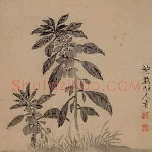 清代 汪士慎《花卉册》国画花鸟写意作品图片赏析