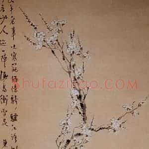 清代 汪士慎《白梅图》国画花鸟写意作品图片赏析