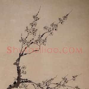 清代 汪士慎《墨梅图》国画花鸟写意作品图片赏析