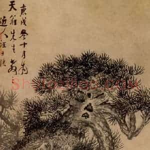 1730年 汪士慎《松柏图》国画花鸟写意作品图片赏析