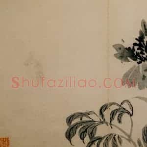 1742年 汪士慎《花卉册》国画花鸟写意作品图片赏析