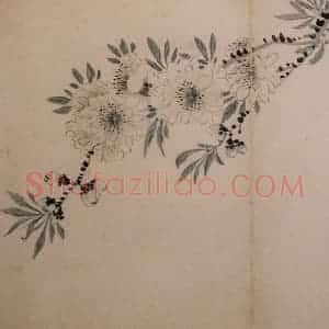 1742年 汪士慎《花卉册》国画花鸟写意作品图片赏析