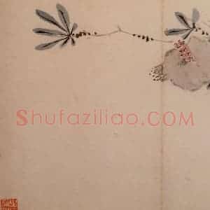 1742年 汪士慎《花卉册》国画花鸟写意作品图片赏析