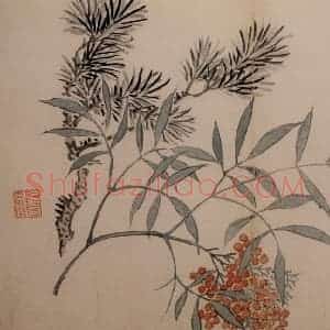 1742年 汪士慎《花卉册》国画花鸟写意作品图片赏析