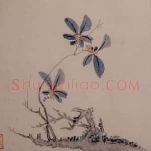 1742年 汪士慎《花卉册》国画花鸟写意作品图片赏析
