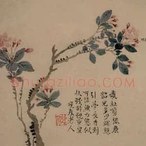 1749年 汪士慎《花卉册》国画花鸟写意作品图片赏析