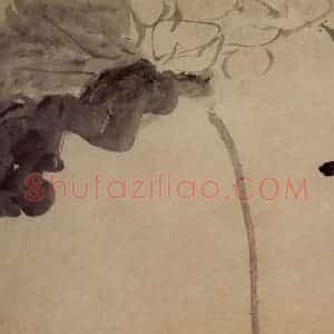 清代 黄慎《墨笔荷花》国画花鸟写意作品图片赏析