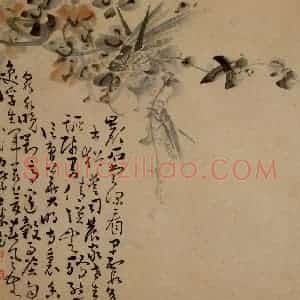 清代 黄慎《花鸟草丛册》国画花鸟写意作品图片赏析