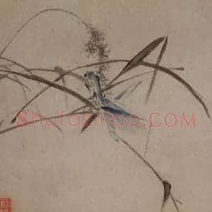 清代 黄慎《花鸟草丛册》国画花鸟写意作品图片赏析