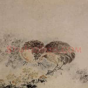 清代 黄慎《花鸟草丛册》国画花鸟写意作品图片赏析
