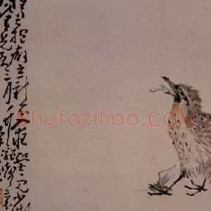 清代 黄慎《杂画册》国画花鸟写意作品图片赏析