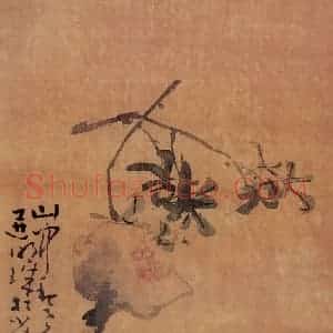 清代 黄慎《书画册》国画花鸟写意作品图片赏析