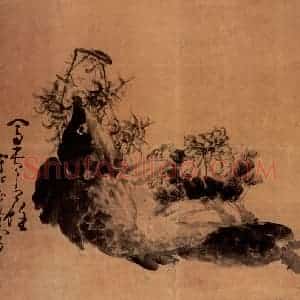清代 黄慎《富贵有余图》国画花鸟写意作品图片赏析