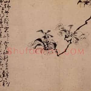 清代 黄慎《诗画册》国画花鸟写意作品图片赏析