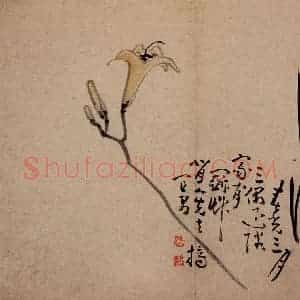 清代 黄慎《诗画册》国画花鸟写意作品图片赏析