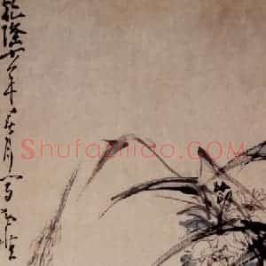 清代 黄慎《芦鸭图》国画花鸟写意作品图片赏析