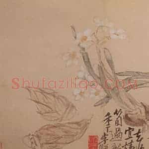 清代 李鳝《花卉册8开》国画花鸟作品图片赏析