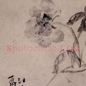 清代 李鳝《芍药图》国画花鸟作品图片赏析