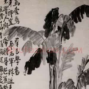 清代 李鳝《芭蕉独鹅图》国画花鸟作品图片赏析