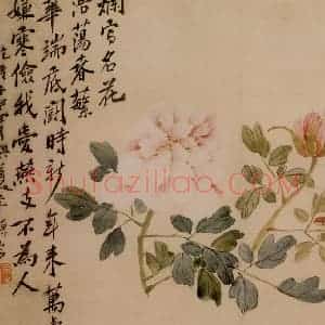 清代 李鳝《花卉册》国画花鸟作品图片赏析